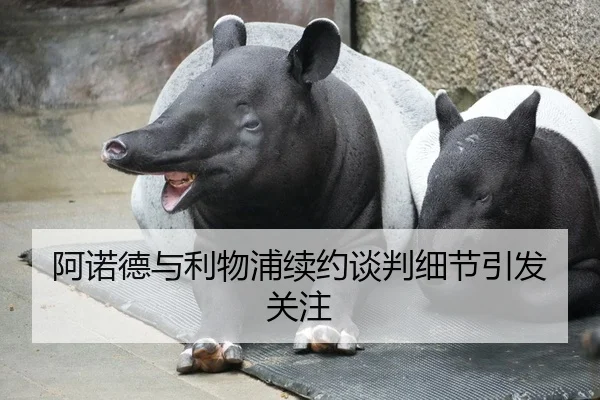阿诺德与利物浦续约谈判细节引发关注